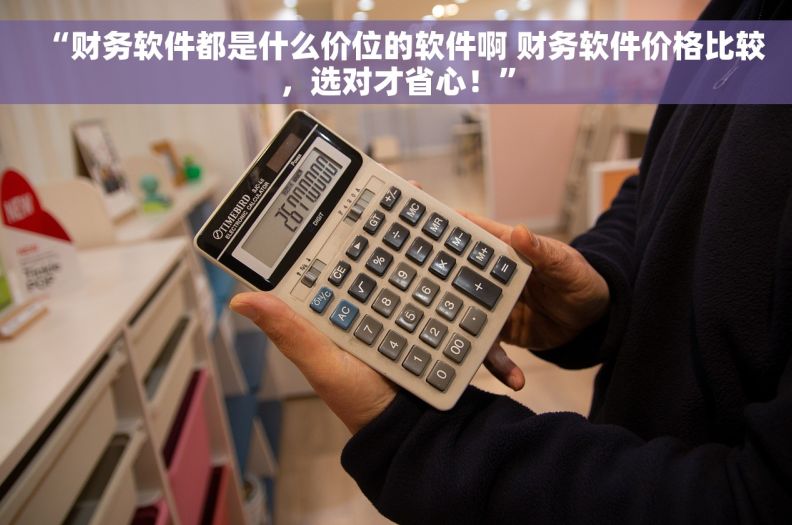 “财务软件都是什么价位的软件啊 财务软件价格比较，选对才省心！”