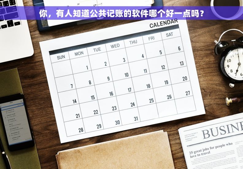 你，有人知道公共记账的软件哪个好一点吗？