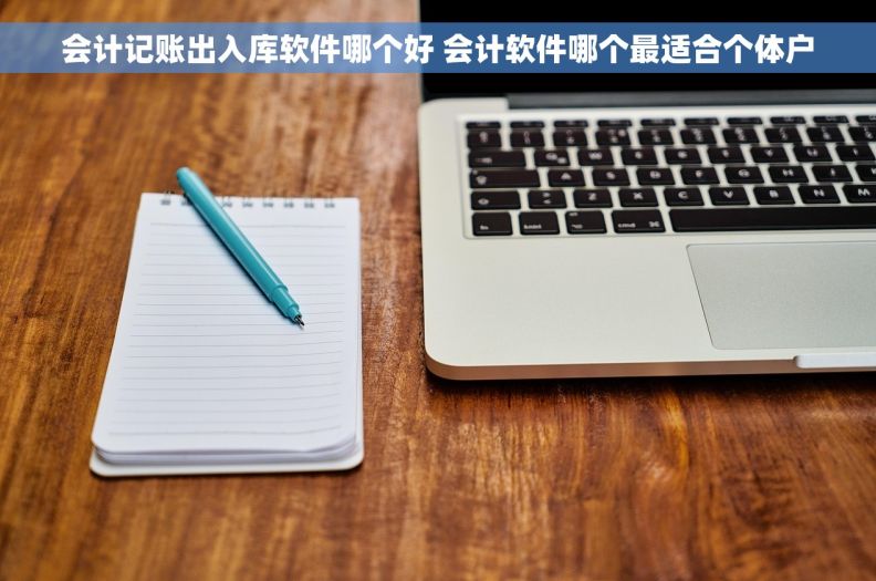 会计记账出入库软件哪个好 会计软件哪个最适合个体户
