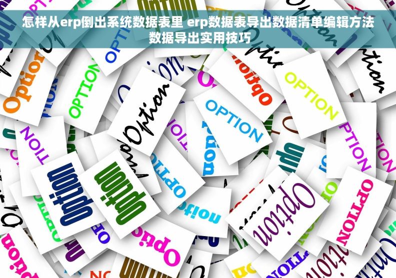 怎样从erp倒出系统数据表里 erp数据表导出数据清单编辑方法 数据导出实用技巧
