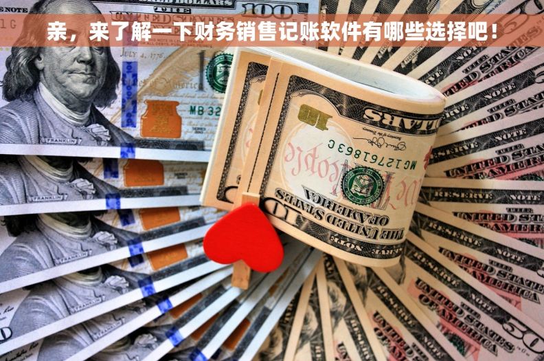 亲，来了解一下财务销售记账软件有哪些选择吧！