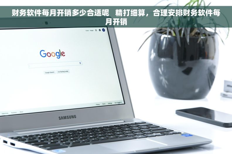 财务软件每月开销多少合适呢   精打细算，合理安排财务软件每月开销