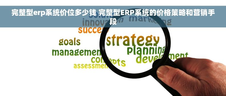 完整型erp系统价位多少钱 完整型ERP系统的价格策略和营销手段