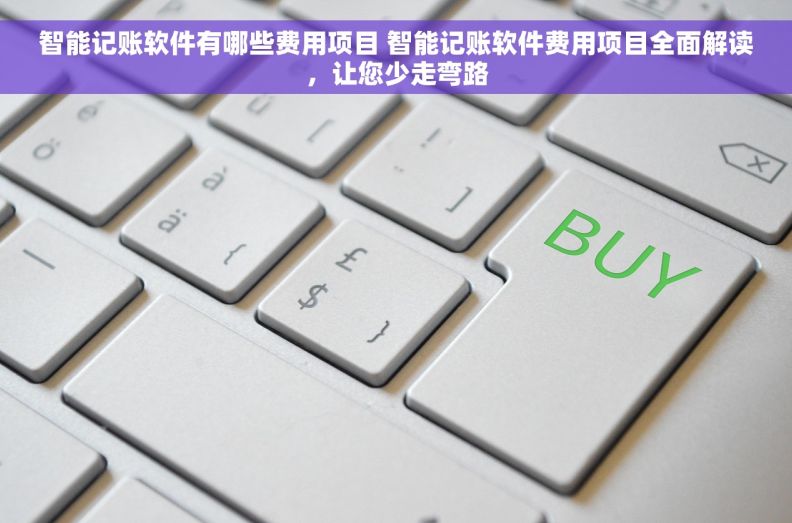 智能记账软件有哪些费用项目 智能记账软件费用项目全面解读，让您少走弯路
