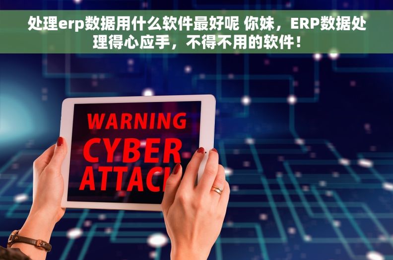 处理erp数据用什么软件最好呢 你妹，ERP数据处理得心应手，不得不用的软件！