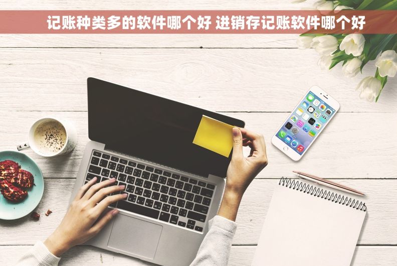     记账种类多的软件哪个好 进销存记账软件哪个好