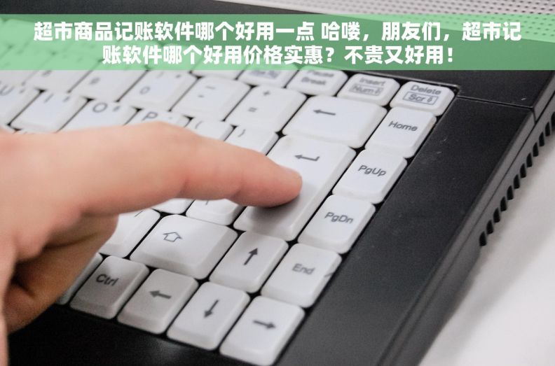 超市商品记账软件哪个好用一点 哈喽，朋友们，超市记账软件哪个好用价格实惠？不贵又好用！