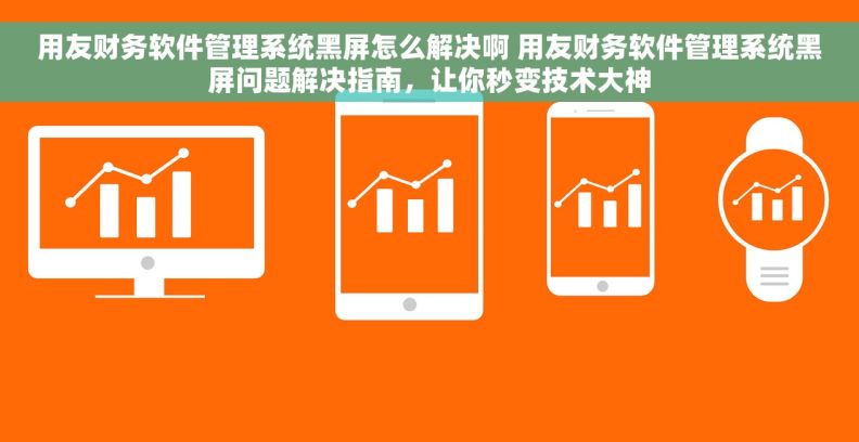 用友财务软件管理系统黑屏怎么解决啊 用友财务软件管理系统黑屏问题解决指南，让你秒变技术大神