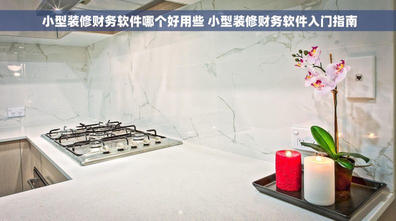  小型装修财务软件哪个好用些 小型装修财务软件入门指南