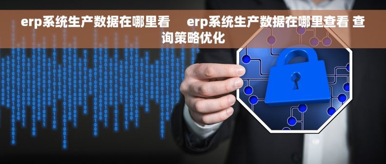 erp系统生产数据在哪里看     erp系统生产数据在哪里查看 查询策略优化