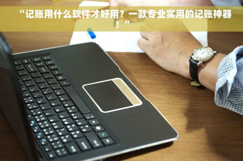 “记账用什么软件才好用？一款专业实用的记账神器！”