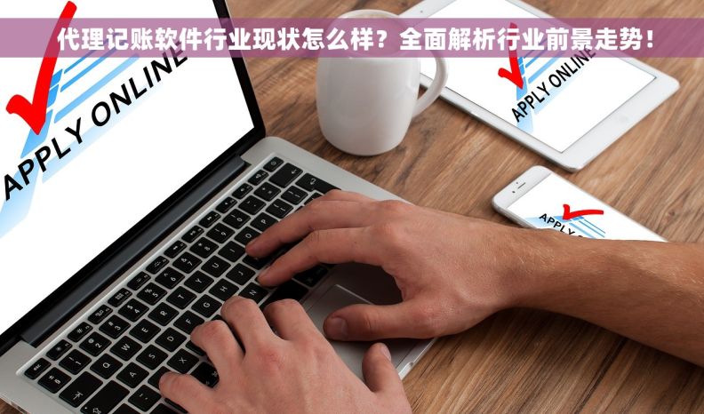  代理记账软件行业现状怎么样？全面解析行业前景走势！