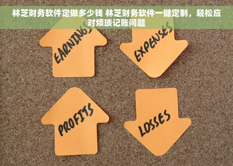 林芝财务软件定做多少钱 林芝财务软件一键定制，轻松应对烦琐记账问题