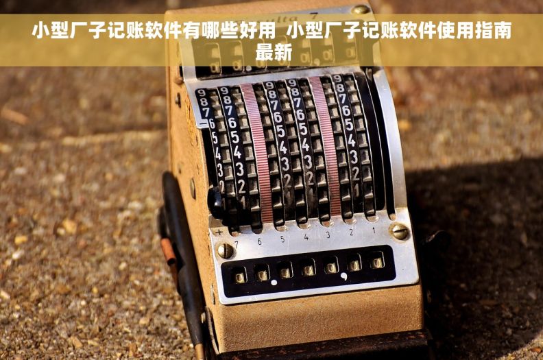 小型厂子记账软件有哪些好用  小型厂子记账软件使用指南 最新