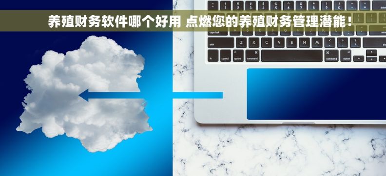     养殖财务软件哪个好用 点燃您的养殖财务管理潜能！