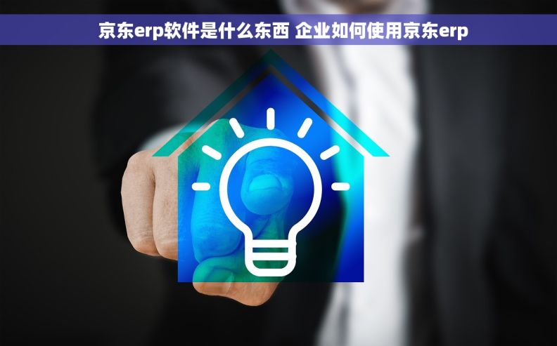   京东erp软件是什么东西 企业如何使用京东erp