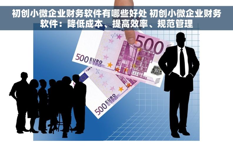 初创小微企业财务软件有哪些好处 初创小微企业财务软件：降低成本、提高效率、规范管理