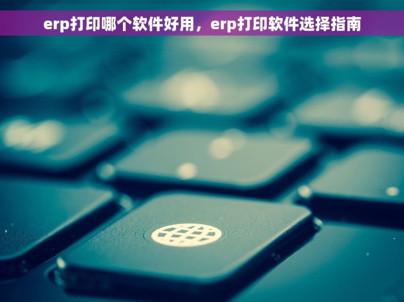 erp打印哪个软件好用，erp打印软件选择指南