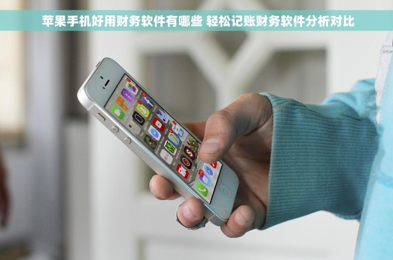  苹果手机好用财务软件有哪些 轻松记账财务软件分析对比
