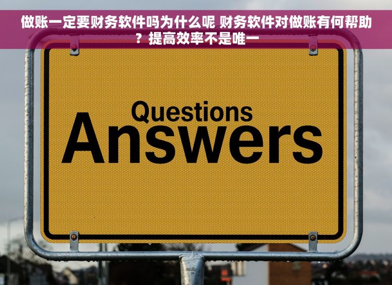 做账一定要财务软件吗为什么呢 财务软件对做账有何帮助？提高效率不是唯一