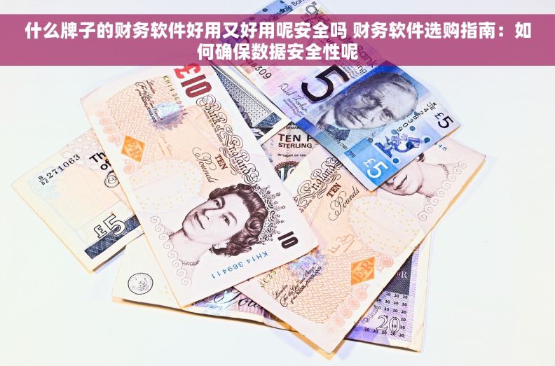 什么牌子的财务软件好用又好用呢安全吗 财务软件选购指南：如何确保数据安全性呢