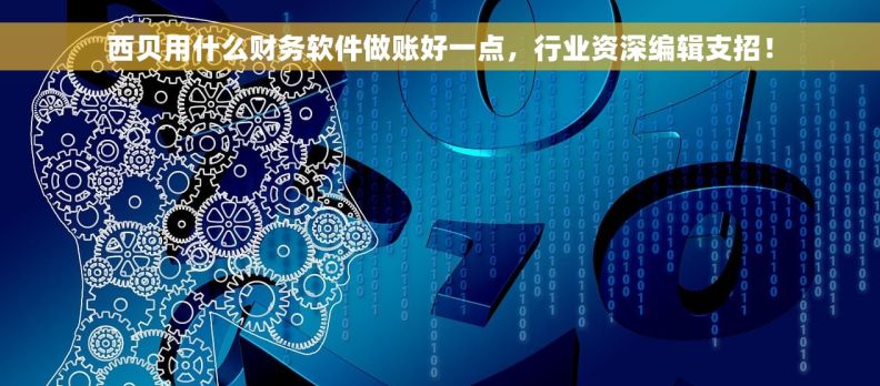 西贝用什么财务软件做账好一点，行业资深编辑支招！