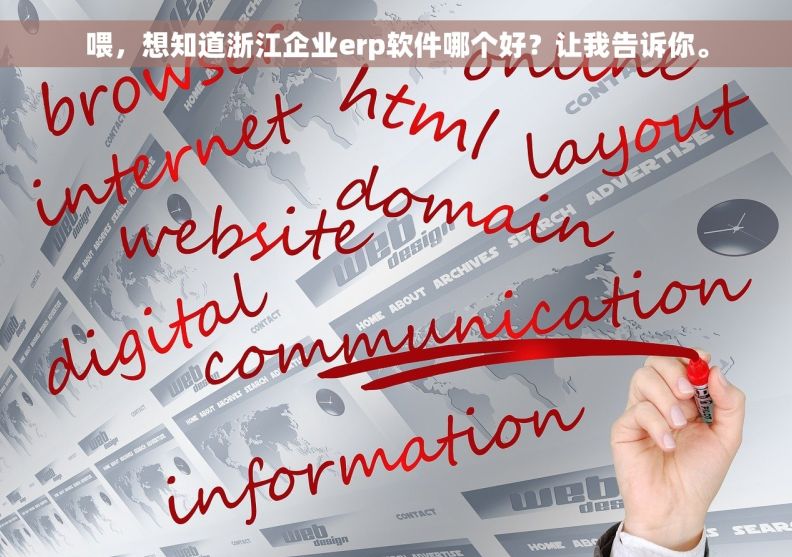喂，想知道浙江企业erp软件哪个好？让我告诉你。
