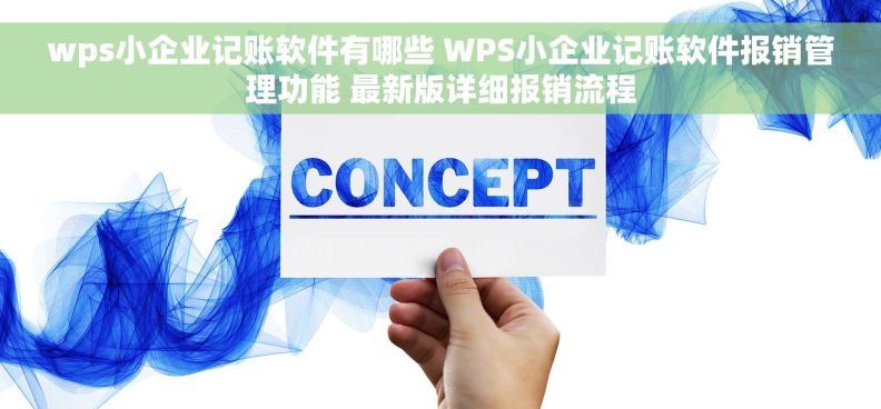 wps小企业记账软件有哪些 WPS小企业记账软件报销管理功能 最新版详细报销流程