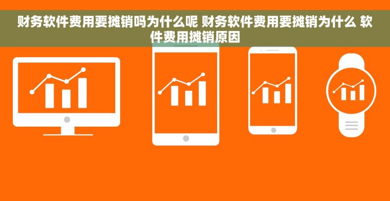 财务软件费用要摊销吗为什么呢 财务软件费用要摊销为什么 软件费用摊销原因