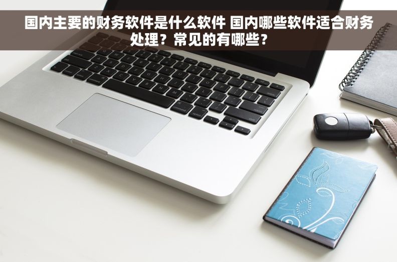 国内主要的财务软件是什么软件 国内哪些软件适合财务处理？常见的有哪些？