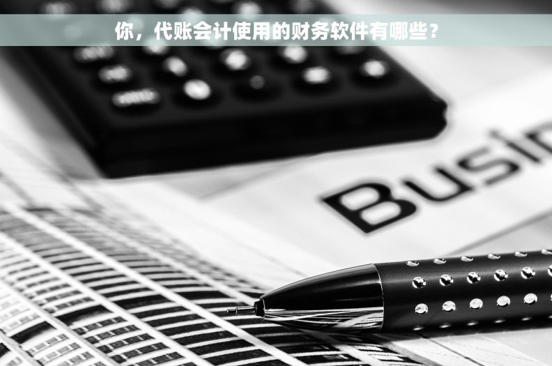 你，代账会计使用的财务软件有哪些？