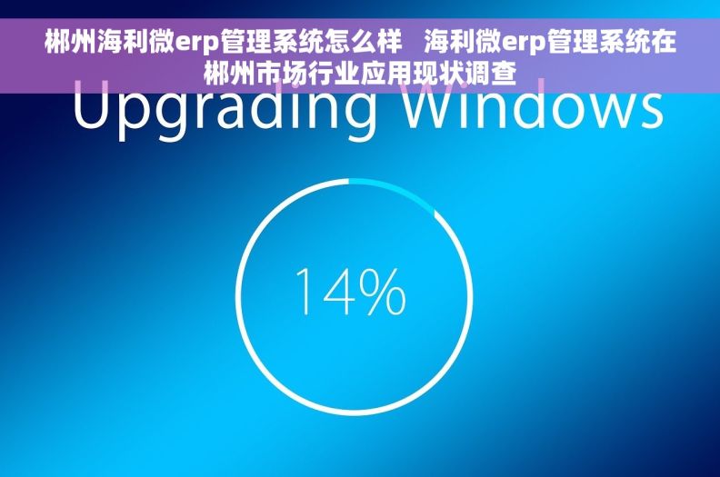 郴州海利微erp管理系统怎么样   海利微erp管理系统在郴州市场行业应用现状调查
