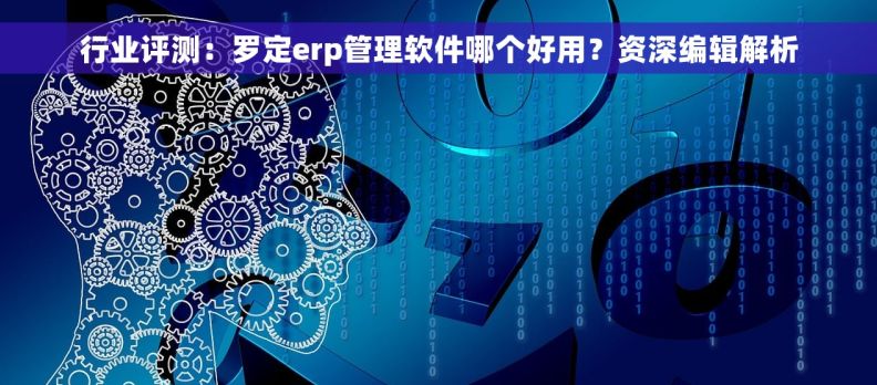 行业评测：罗定erp管理软件哪个好用？资深编辑解析