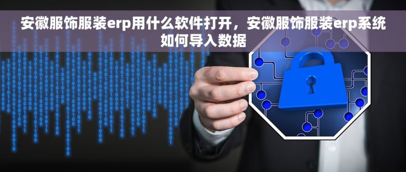 安徽服饰服装erp用什么软件打开，安徽服饰服装erp系统如何导入数据