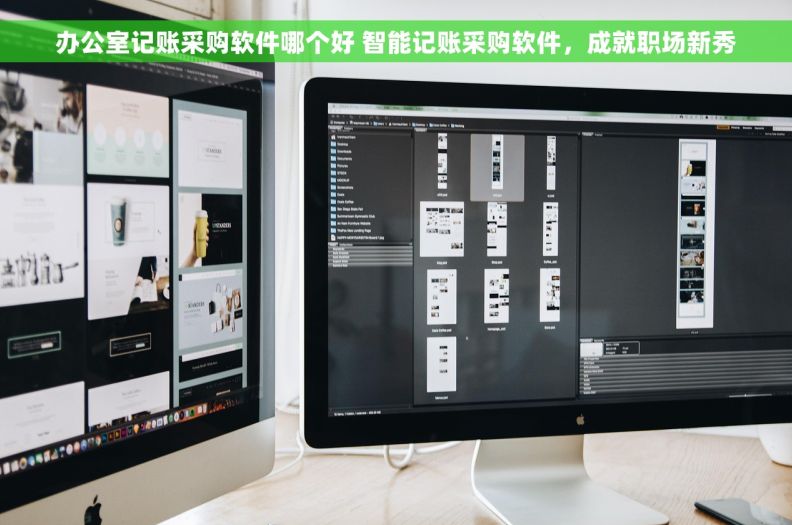 办公室记账采购软件哪个好 智能记账采购软件，成就职场新秀
