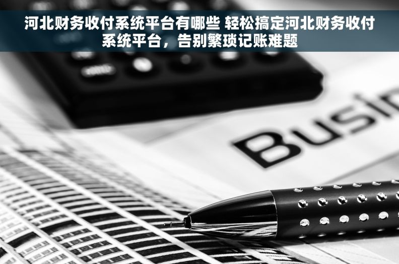 河北财务收付系统平台有哪些 轻松搞定河北财务收付系统平台，告别繁琐记账难题