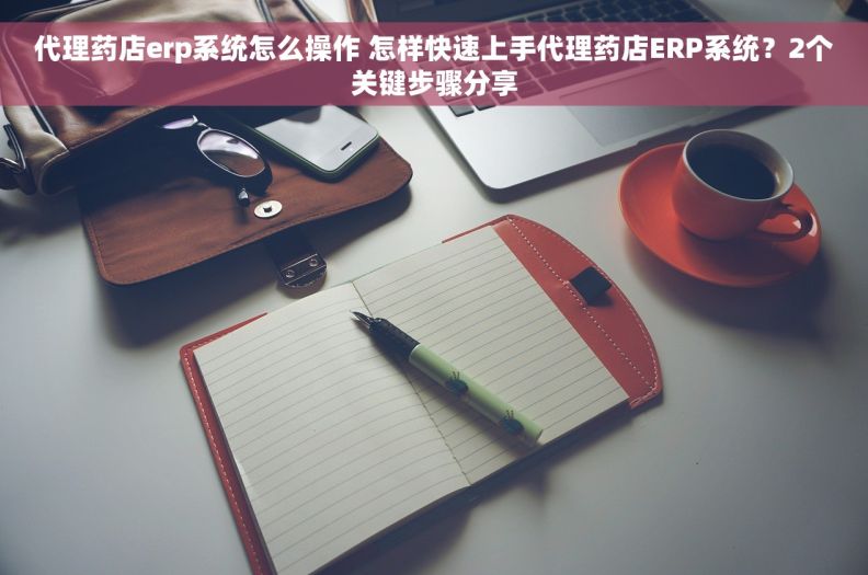 代理药店erp系统怎么操作 怎样快速上手代理药店ERP系统？2个关键步骤分享