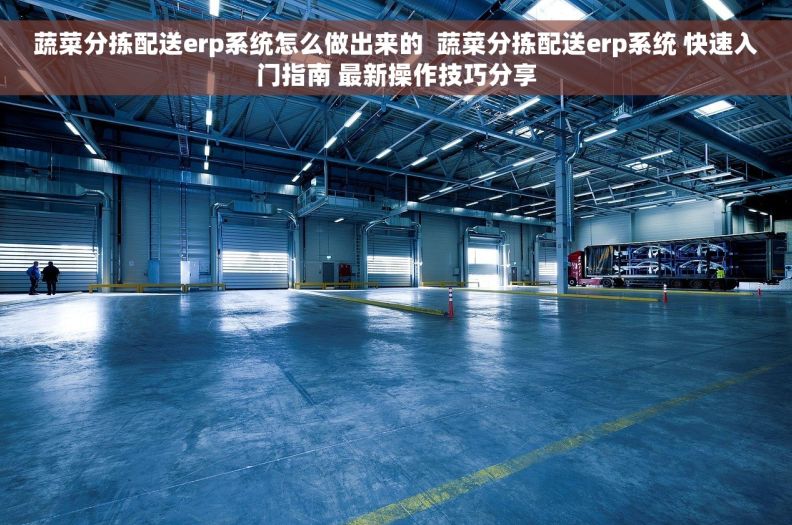 蔬菜分拣配送erp系统怎么做出来的  蔬菜分拣配送erp系统 快速入门指南 最新操作技巧分享