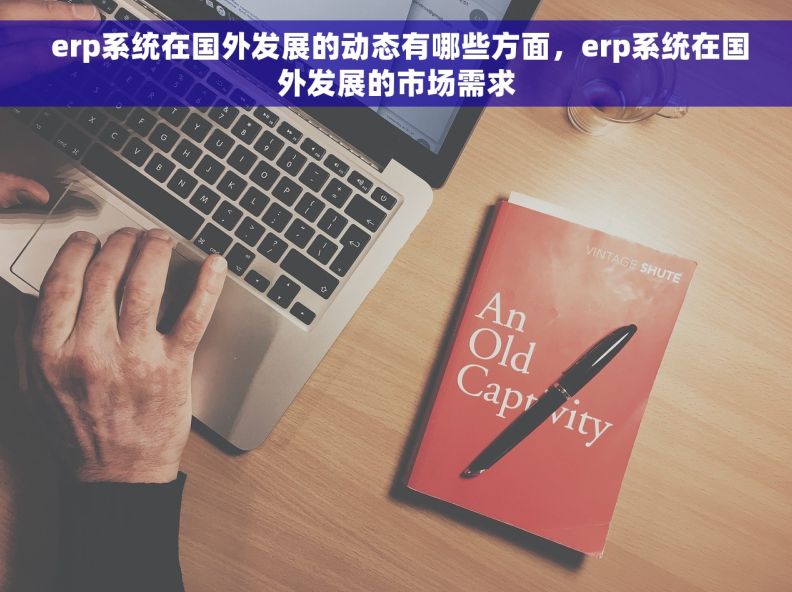 erp系统在国外发展的动态有哪些方面，erp系统在国外发展的市场需求