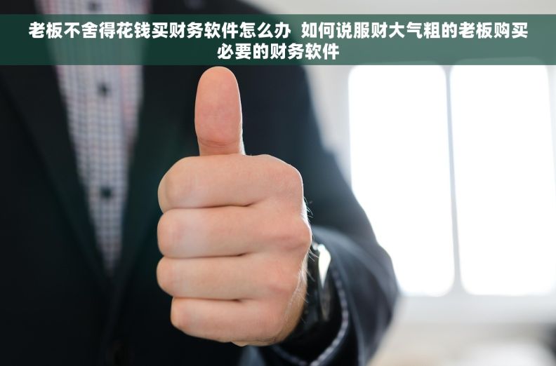 老板不舍得花钱买财务软件怎么办  如何说服财大气粗的老板购买必要的财务软件