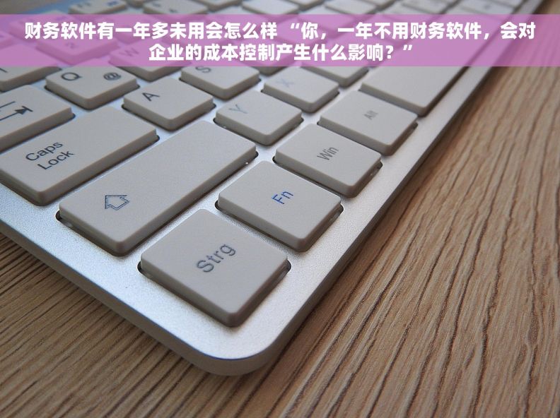 财务软件有一年多未用会怎么样 “你，一年不用财务软件，会对企业的成本控制产生什么影响？”