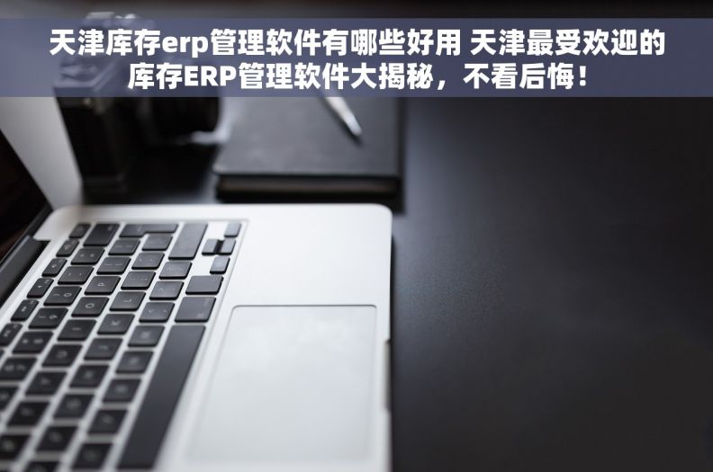天津库存erp管理软件有哪些好用 天津最受欢迎的库存ERP管理软件大揭秘，不看后悔！