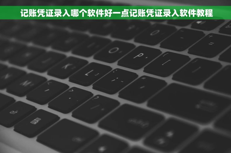  记账凭证录入哪个软件好一点记账凭证录入软件教程