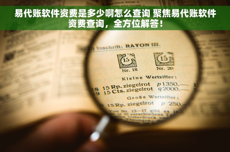 易代账软件资费是多少啊怎么查询 聚焦易代账软件资费查询，全方位解答！