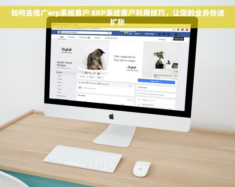 如何去推广erp系统客户 ERP系统客户利用技巧，让您的业务快速扩张