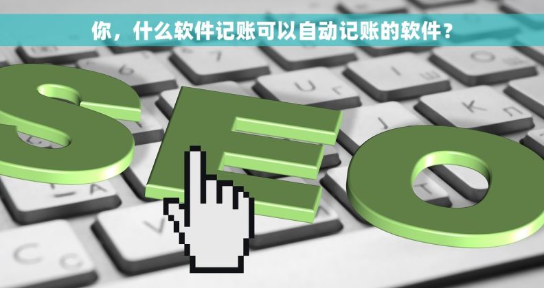 你，什么软件记账可以自动记账的软件？