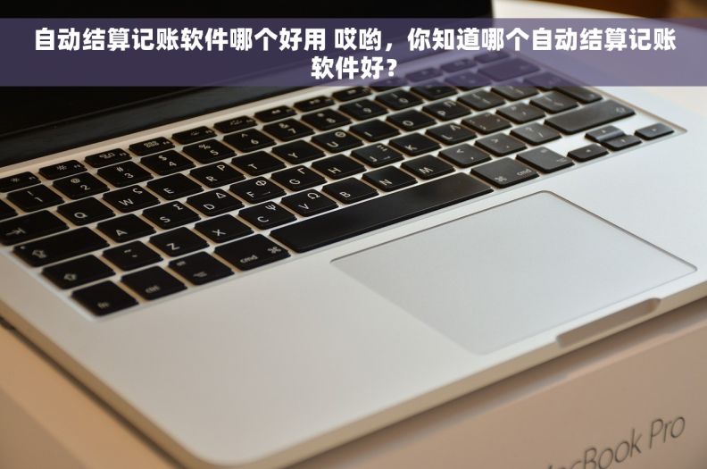 自动结算记账软件哪个好用 哎哟，你知道哪个自动结算记账软件好？