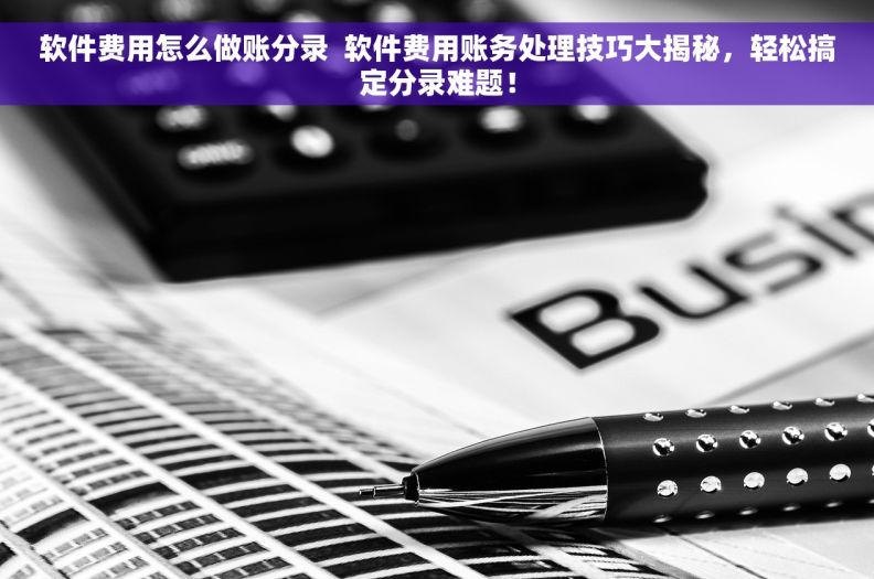 软件费用怎么做账分录  软件费用账务处理技巧大揭秘，轻松搞定分录难题！