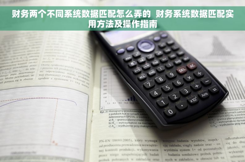 财务两个不同系统数据匹配怎么弄的  财务系统数据匹配实用方法及操作指南