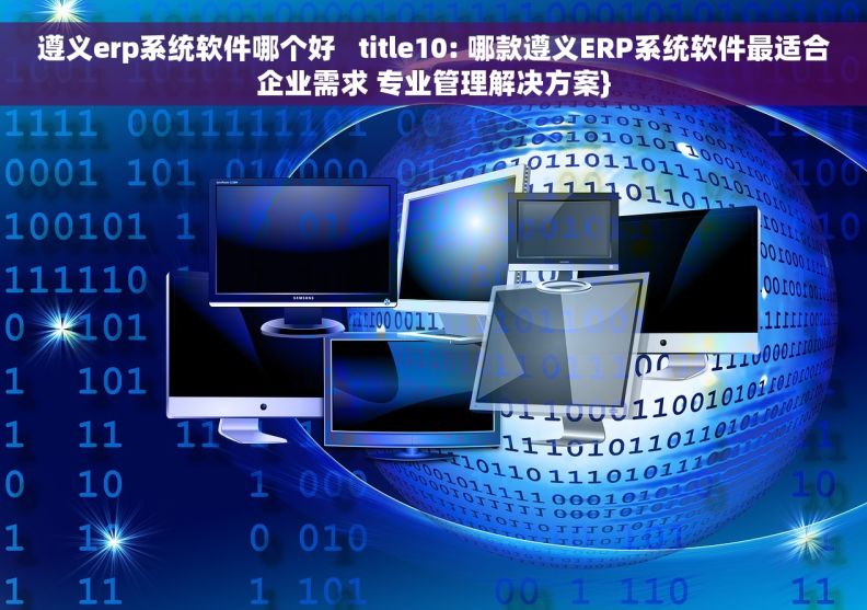 遵义erp系统软件哪个好   title10: 哪款遵义ERP系统软件最适合企业需求 专业管理解决方案}